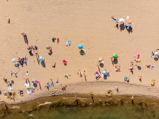 夏の背景