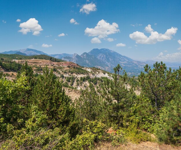 Foto estate montagne balcaniche vista dalla strada di montagna nella contea di diber albania europa