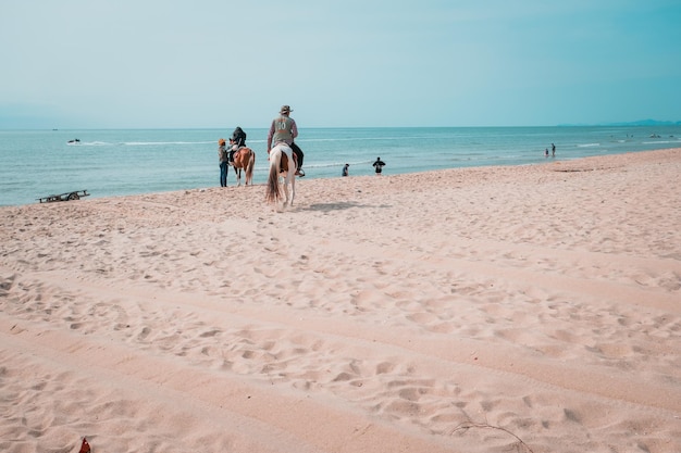 summer beach activity summer holiday background