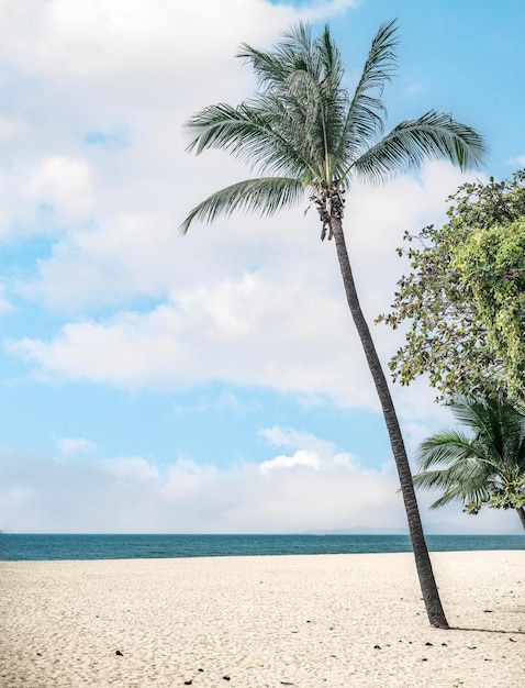 Summer beach background Sand and sea and blue sky Palm tree and amazing cloudy blue sky at tropical beach island in Indian Ocean Thailand popular tourist destination