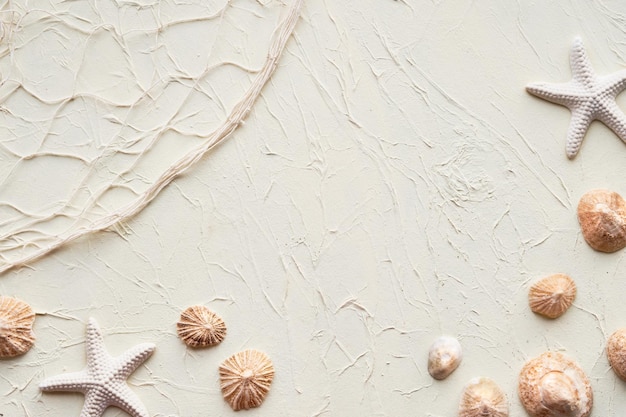 茶色の貝殻ヒトデと小石フィッシャーマンネットと貝殻と夏のビーチの背景