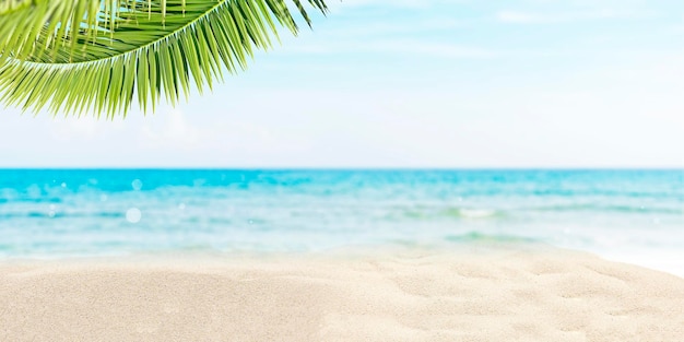 Sfondo spiaggia estiva con sabbia bianca mare blu e palma