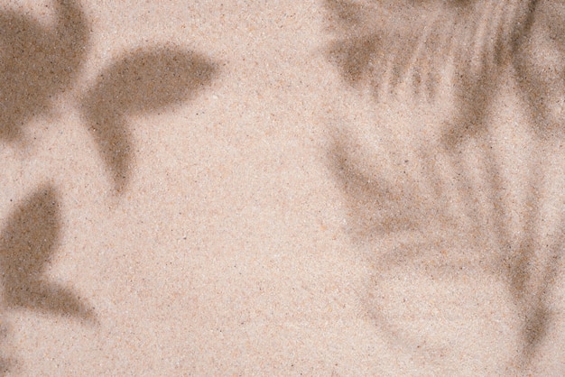 Summer beach day scene with tropical palm leaves shadow on sand background