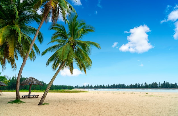 Summer beach landscape