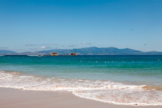 Summer on the beach