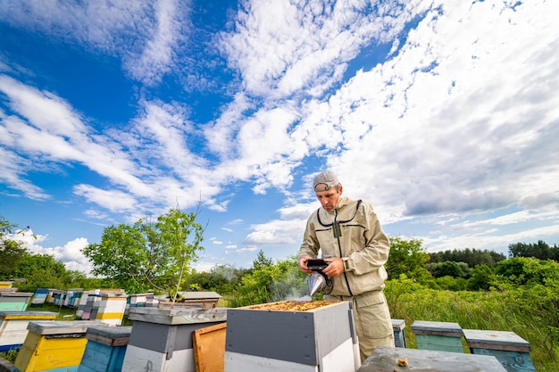 Summer bee apiary concept Beekeeper in protective unifrom working with honeycombs