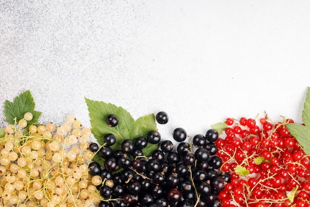 Photo summer berries on the table