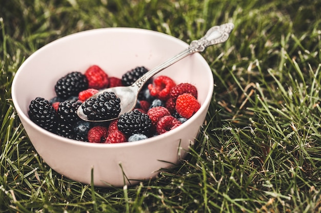 Summer berry fruits in green grass background. raspberries, blueberries and blackberries