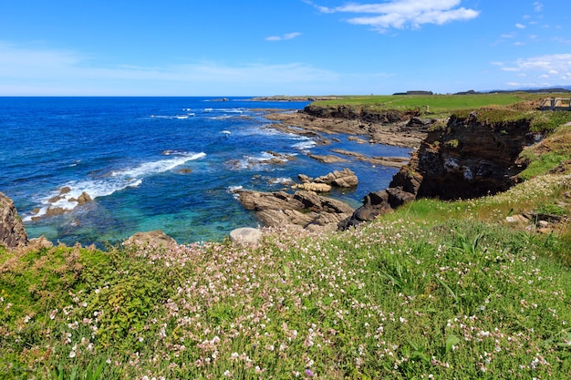 ロスカストロスビーチガリシアスペインの近くの白い花と夏の花の咲く大西洋の海岸線の風景