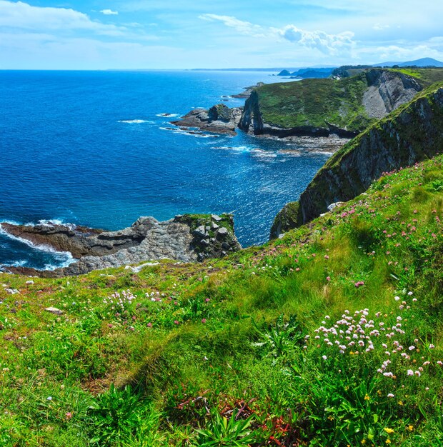 Paesaggio sbocciante estivo della costa di capo vidio (asturie, cudillero, spagna). due colpi punto immagine.