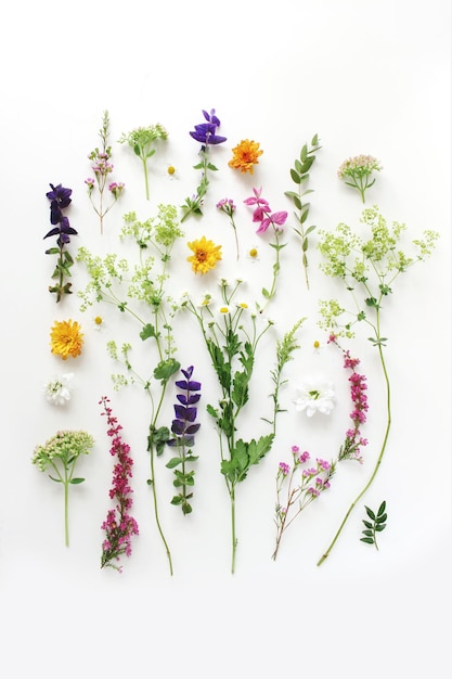 Summer botanical pattern Floral composition of fewerfew erica sage and chrysanthemum flowers and green alchemilla plants on white wooden background Styled stock photo Flat lay top view vertical