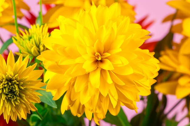 Summer bouquet yellow and red flowers on a bright background Chrysanthemums and dahlias close up