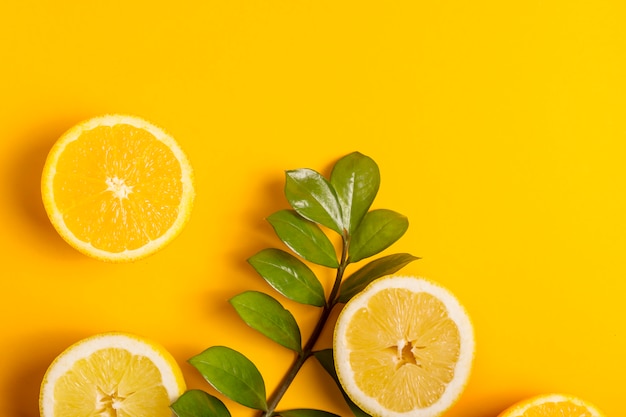 Summer bright yellow background with a green juicy branch and bright halves of oranges and lemons