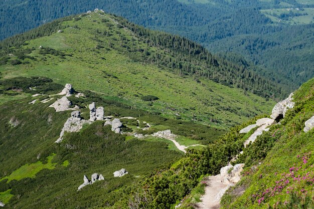 Летний карпатский горный пейзаж