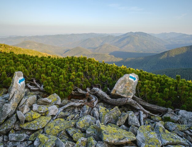 Карпаты мотик