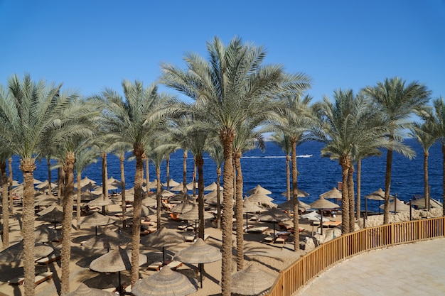 Summer chaise lounges under an umbrella on sandy sea beach and palms in hotel