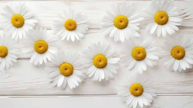 Photo summer chamomile on white wood