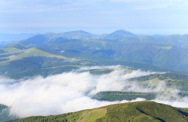 夏の曇りの山の風景（ウクライナ、カルパティア山脈）