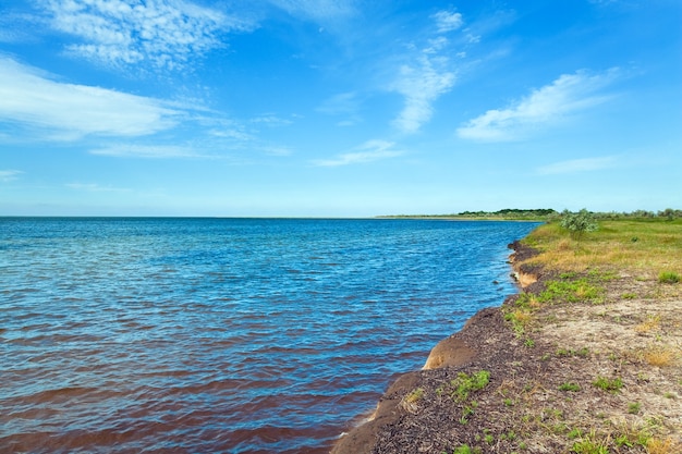 Summer coastline