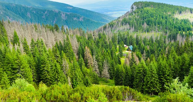 雲のある夏のカラフルな山の風景。西タトラ、リプトフ、スロバキアの Babky の丘。