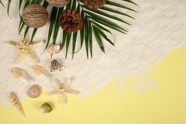 Summer concept and accessories (shells, starfish, coconut leaf) with sandy beach 