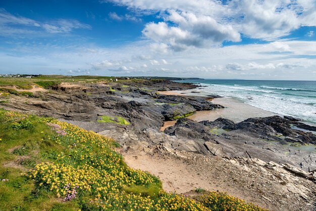 Summer on the Cornwall Coast