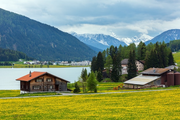 Paesaggio estivo di campagna con il lago di davos, periferia della città e prato di tarassaco (svizzera).