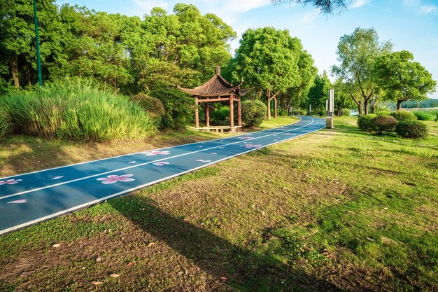 Summer Country Road With Trees Beside Concept