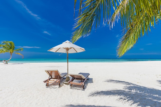 여름 커플 목적지 경치 좋은 해변 침대 의자 우산 야자수. 사랑 로맨틱 여행 풍경