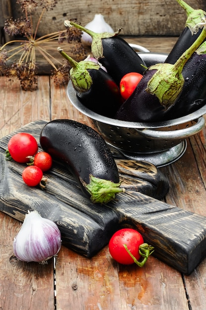 Summer crop of aubergine