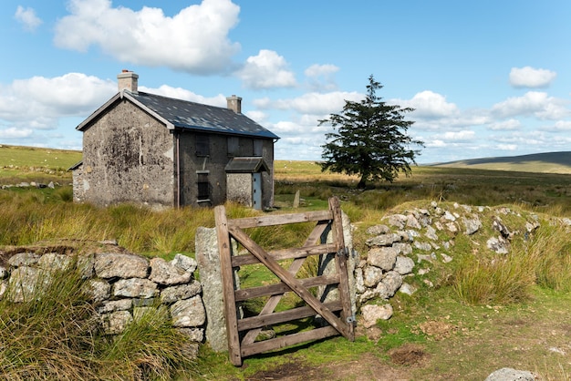 Summer on Dartmoor