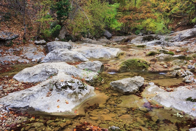 Summer day forest stream water with motion blur waves