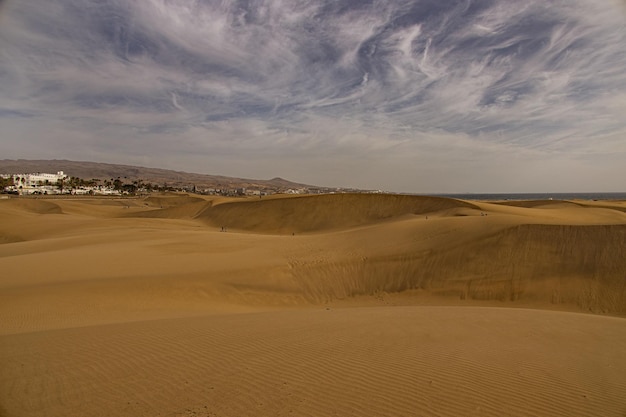 summer desert landscape on a warm sunny day from Maspalomas dunes on the Spanish island of Gran Canaria