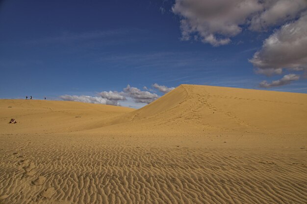 summer desert landscape on a warm sunny day from Maspalomas dunes on the Spanish island of Gran Canaria