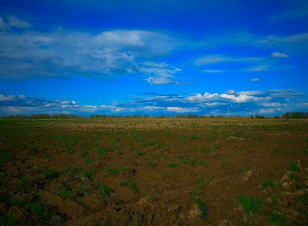 Summer empty tillage field background