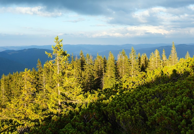 여름 저녁 Gorgany 산 능선은 Homiak Mount 정상(Carpathians, Ukraine)에서 볼 수 있습니다.