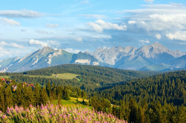 분홍색 꽃이 앞쪽에 있고 뒤에 Tatra 범위가있는 여름 저녁 산촌 외곽 (Gliczarow Gorny, 폴란드)