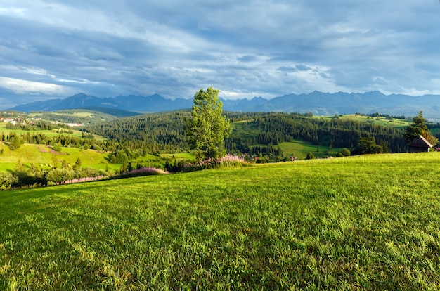 Summer evening mountain village outskirts with Tatra range behind