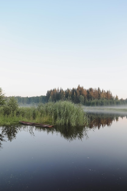 Summer evening twilight view on picturesque plain lake surface with reflections of sky and trees