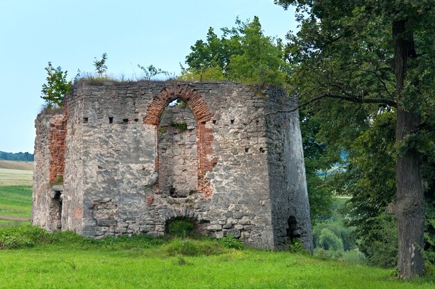 Svirzh 성 황폐한 타워의 여름 저녁 보기(Lviv Oblast, Ukraine. XV-XVII 세기에 지어졌습니다.)