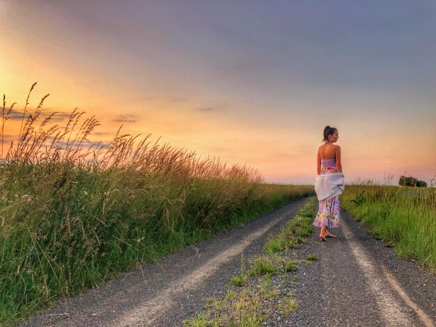 Photo the summer evening