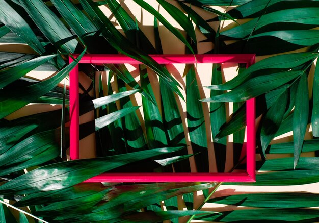 Summer exotic mockup of palm leaves and frame