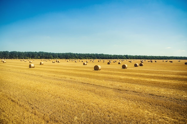 Summer farm scenery with haystack on the background of beautiful sunset in field as agriculture concept