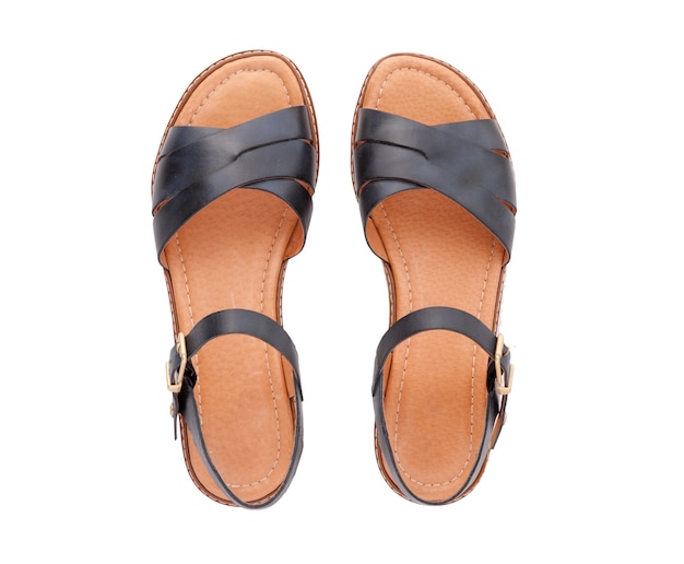 Summer female sandals isolated