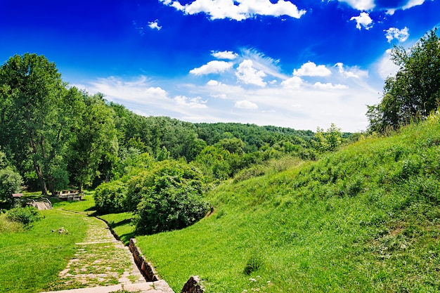 青い空を背景の夏の畑。美しい風景。