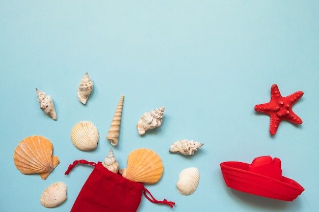 Summer flat lay with seashells, red starfish and toy boat on blue sea 