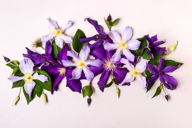 夏の花の構成。美しい花で作られたクリエイティブなレイアウト。