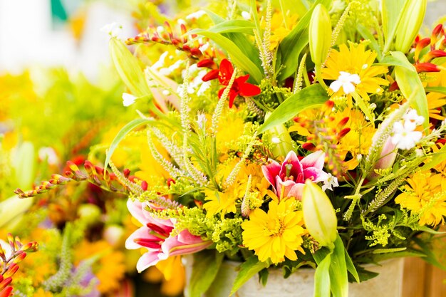 地元のファーマーズマーケットで夏の花。