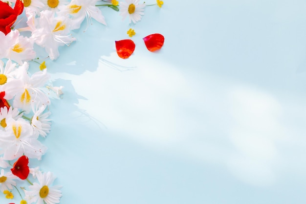 Summer flowers in sunny light on blue background