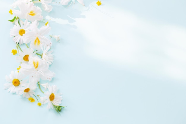 Summer flowers in sunny light on blue background